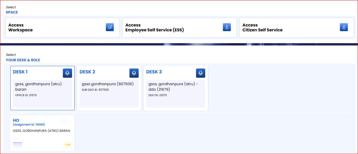 SSO Portal Options